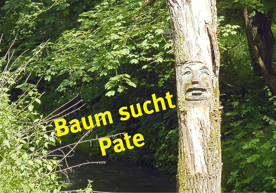 Baumpate gesucht